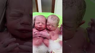 New Born Twins Babies baby newmother newchild cutebaby cute newparents bebe newmommysjourney [upl. by Matthaus]