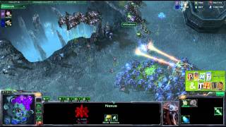 HD278 Tod vs Stephano  PvZ  Starcraft 2 Replay FR [upl. by Middle]