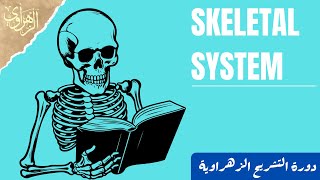 General Anatomy Skeletal System [upl. by Leinahtan]