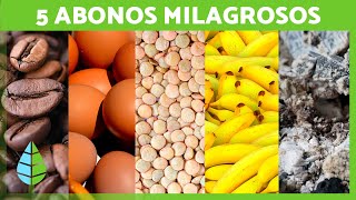 5 Abonos NATURALES para tus PLANTAS 🌱  Fertilizantes CASEROS [upl. by Acey]