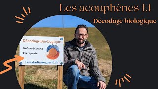 Les acouphènes 11  décodage biologique [upl. by Rugen453]