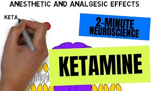 2Minute Neuroscience Ketamine [upl. by Skcirdnek]