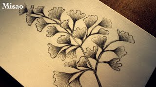 How to draw leaves  Maidenhair Fern with pencil  in 5 Minutes [upl. by Spaulding989]