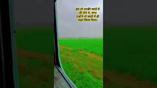 Panchi nadiya pawan ke jhoke tranding train lovemusic song [upl. by So509]