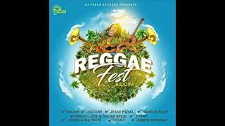 Jemere Morgan Teacherreggae fest riddim [upl. by Thistle]