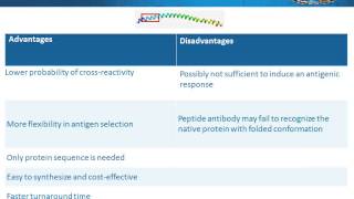 Protein or peptide antigen choosing the optimal immunogen for antibody production [upl. by Esyle]