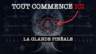 GLANDE PINÉALE  Explication Détaillée jaurais aimé savoir ça plus tôt [upl. by Dalpe]