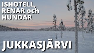 Min resa Ishotell hundar och renar i Jukkasjärvi [upl. by Harts664]