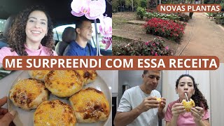 EM BUSCA DA GRAMA PARA O TERRENO NOVAS PLANTAS HAMBÚRGUER CASEIRO FÁCIL E MAIS [upl. by Leilah]