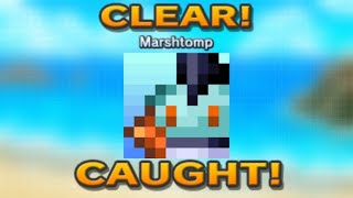 Pokemon Picross  Marshtomp  S1704  20241117 [upl. by Kcyred543]