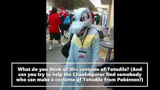 What Do You Think Of This Totodile Costume From Pokemon Gold and Silver [upl. by Linnell]