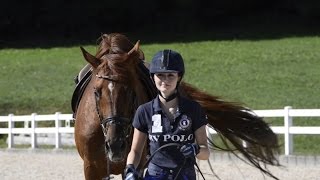 Reitanlage Sandberg  Pia Wilhelm  Equestrian Videographie [upl. by Tallulah142]