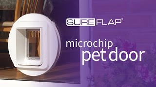 SureFlap Microchip Pet Door  Glass Installation [upl. by Delanie]