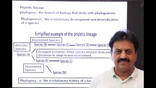 First Year Biology  Chapter 1  Part 6  Phyletic Lineage [upl. by Begga]