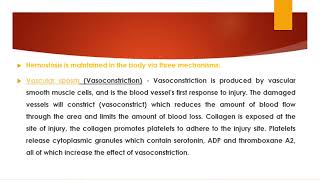 vascular system in hemostasis [upl. by Elsilrac]