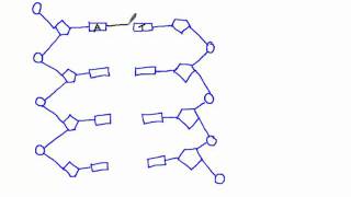 335 Draw a simple diagram of DNA structure [upl. by Hamo535]