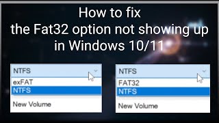 How to Fix the FAT32 Option Not Showing Up in Windows 1011 [upl. by Taft]