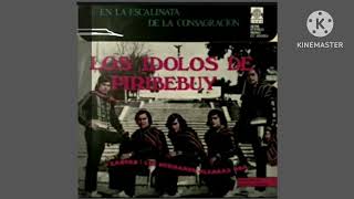 Los Ídolos De Piribebuy 1974 [upl. by Haorbed]