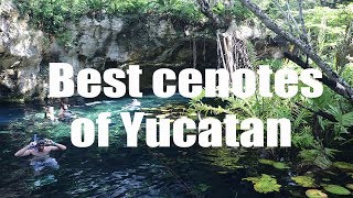 Best cenotes of Yucatan Mexico  Canon 80D  Virtual Trip [upl. by Yettie390]