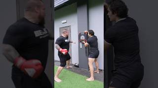 How Hard Can World’s Strongest Man Punch [upl. by Doowle]