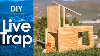 Live Trap How to make a  simple DIY [upl. by Samuele]