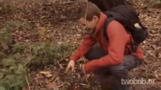 Bear Grylls Born Shit Eater Parody [upl. by Simdars]