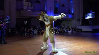 Anthro New England 2022  Dance Competition  Birch [upl. by Mya199]