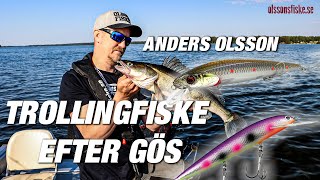 Göstrolling med Anders på Olssons Fiske [upl. by Buskirk794]