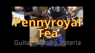 N344 Pennyroyal Tea – Nirvana – Guitarra Baixo Bateria Cover  How to play – Guitar Bass Drums [upl. by Suiratnod]