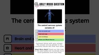 Anatomy Quiz the central nervous system consists of [upl. by Akinoj263]