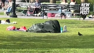 Brazen couple has romp in packed NYC park in full view of kids ‘Society is so f—king gross’ [upl. by Sekofski91]