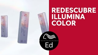 Wella Color  Redescubre Illumina  Educación Wella Iberia [upl. by Iatnwahs]