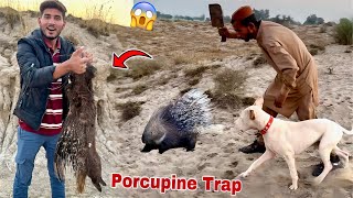 Finally Finally Porcupine Say Paker Li [upl. by Rene928]