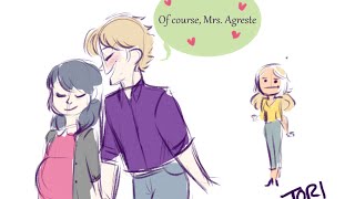 quotMr and Mrs Agrestequot Miraculous Ladybug Comic Dub [upl. by Nihs806]