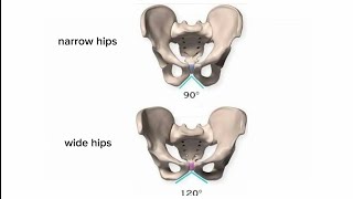 narrow hips subliminal [upl. by Eanom78]