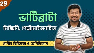 29 ভার্টিব্রাটা। মিক্সিনি। পেট্রোমাইজনটিডা। Vertebrata। Myxini। Petromyzontida। Cyclostomata। [upl. by Norita]