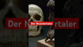 Neandertaler  Die faszinierenden Urmenschen [upl. by Eenor]