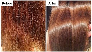 Hair Repair Treatment For Extremely Dry Damaged amp Chemically Burned Hair  Remove Split Ends [upl. by Renaldo]