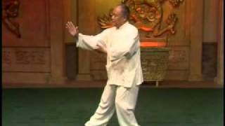 Yang Style Taijiquan 103 form  Part 1 [upl. by Norene]