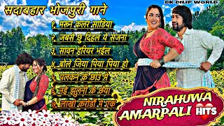 video  Dinesh Lal Yadav amp Amrapali Dubey Song 2024  dineshlalyadav amrapalidubey bhojpurisong [upl. by Jepson]