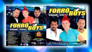 Forró Boys Vol 04  O Novo Som Lançamento [upl. by Daukas]