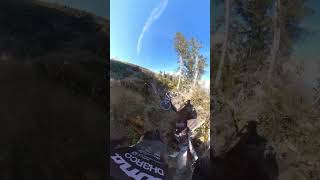 Crazy MTB stunts🤩🤯 bike mtb mountainbikejumps mountainbikeskills mountainbikestunt [upl. by Smail]