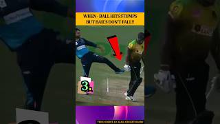 🏏Ball Hits Stumps But Bails Dont Fall ipl2024 cricmafia cricket shorts like viral [upl. by Inahc]