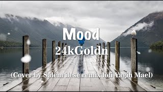 Mood  24Kgoldn LYRICS Cover by Salem ilese remix lofi Yagih Mael mood [upl. by Reeva]