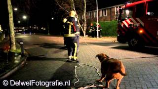 25112012 Hond schiet brandweer Harderwijk te hulp bij stormschade [upl. by Narton580]