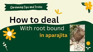 How to deal with root bound in aparajita [upl. by Selby]