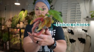 Unboxing Plants [upl. by Druci626]