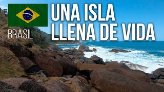 NUNCA IMAGINAMOS encontrarnos con esta ISLA LLENA DE VIDA  SAO SEBASTIAO  ILHABELA SP BRASIL [upl. by Inek]