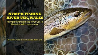 Nymph fishing for wild brown trout on the River Usk in Wales Euro  French  Spanish nymphing tips [upl. by Columbine639]