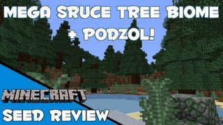 MEGA SPRUCE TREE BIOME  PODZOL AT SPAWN  Minecraft 17 [upl. by Keverne467]